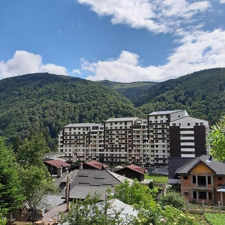 锡纳亚Ioana'S Apartament公寓 外观 照片