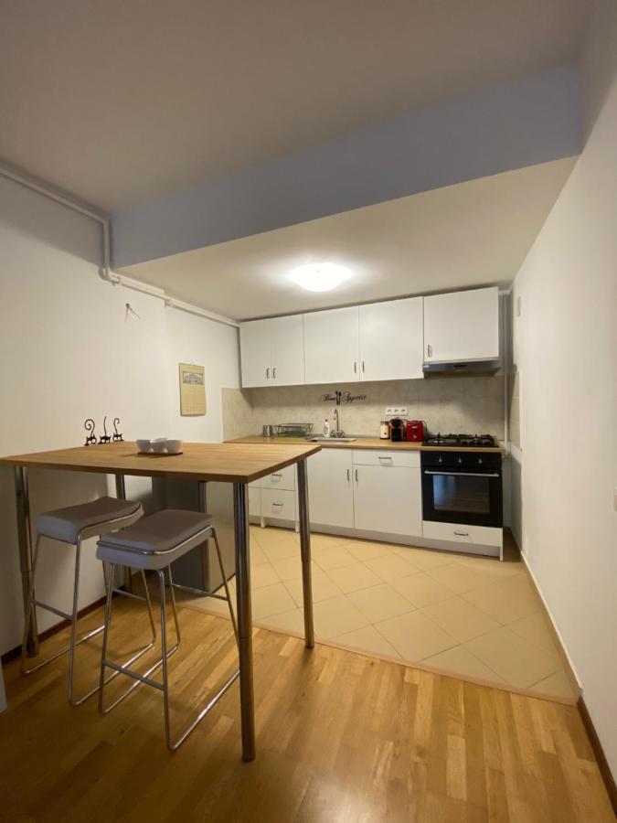 锡纳亚Ioana'S Apartament公寓 外观 照片