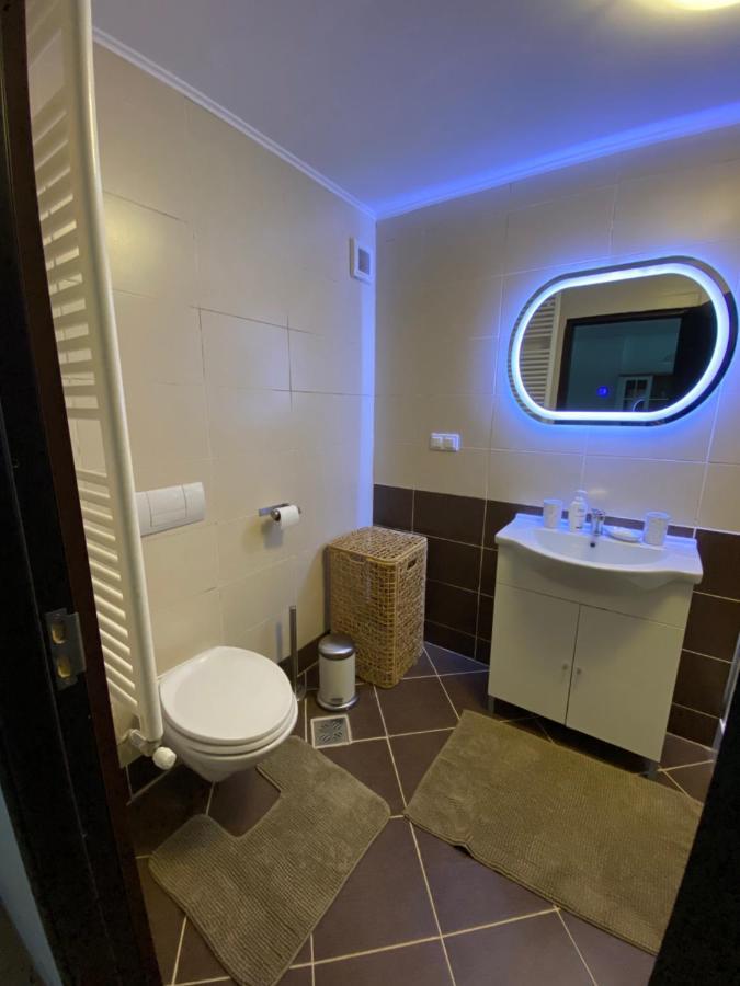 锡纳亚Ioana'S Apartament公寓 外观 照片