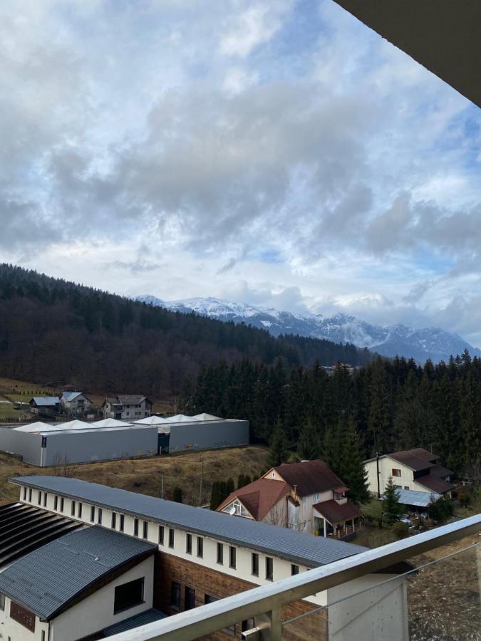 锡纳亚Ioana'S Apartament公寓 外观 照片